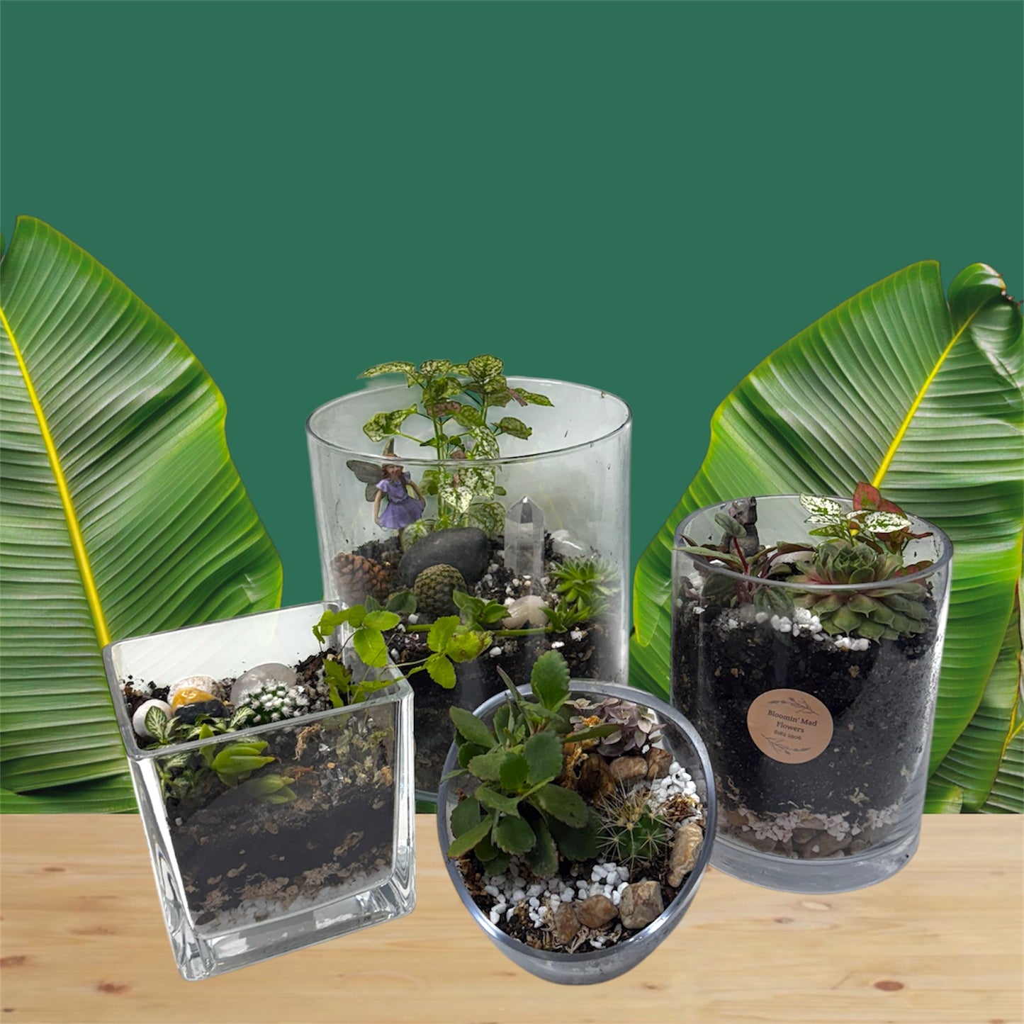 Terrarium - Mini Naturescape