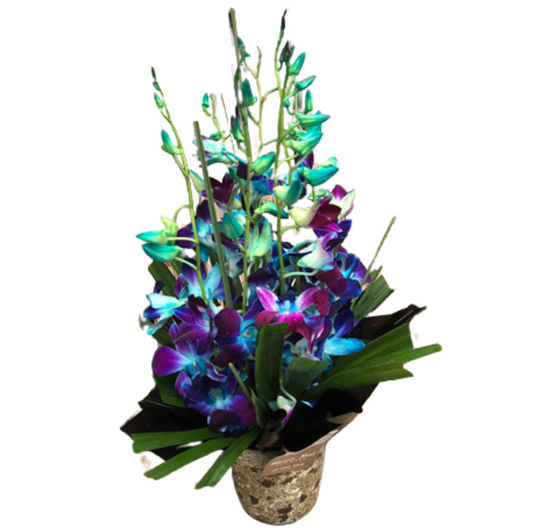 Blue Singapore Orchids Flower Bouquet