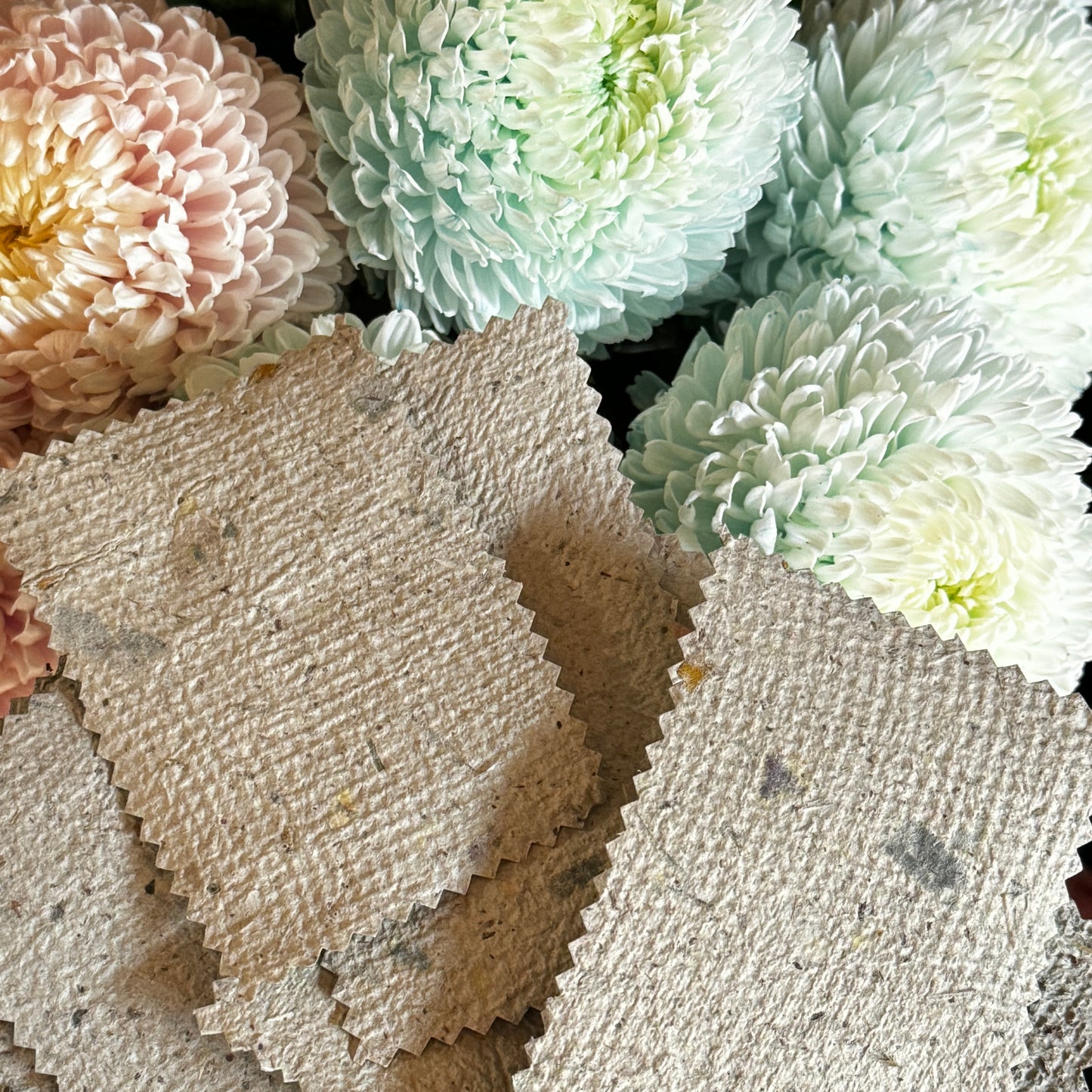 Recycled Paper + Botanical Card