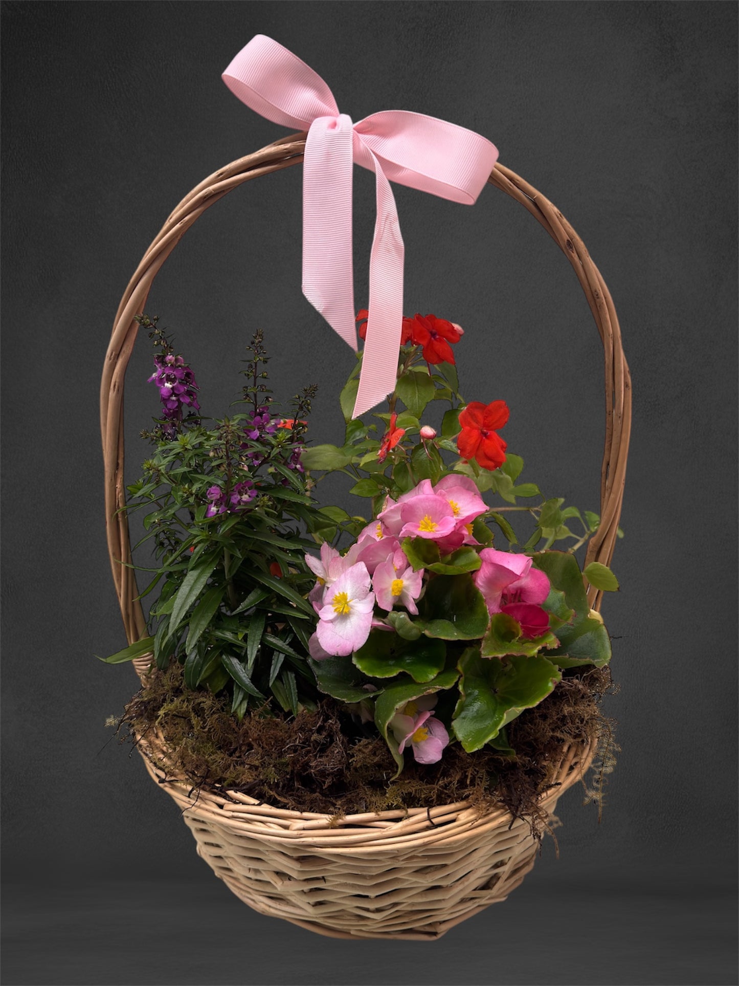 Potted Colour Basket