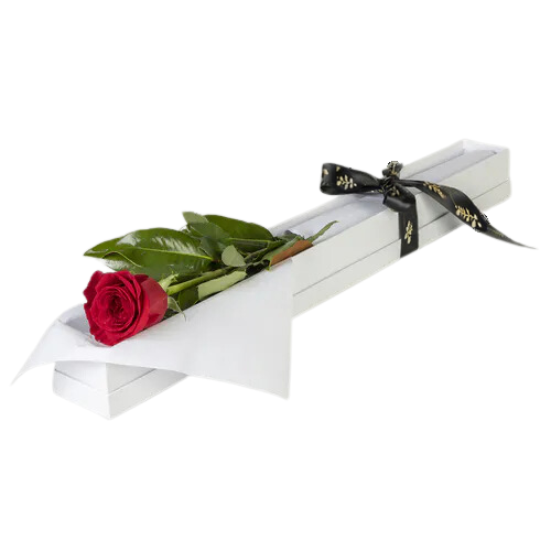 Bloomin' Mad Flowers Bloomin Mad Flowers