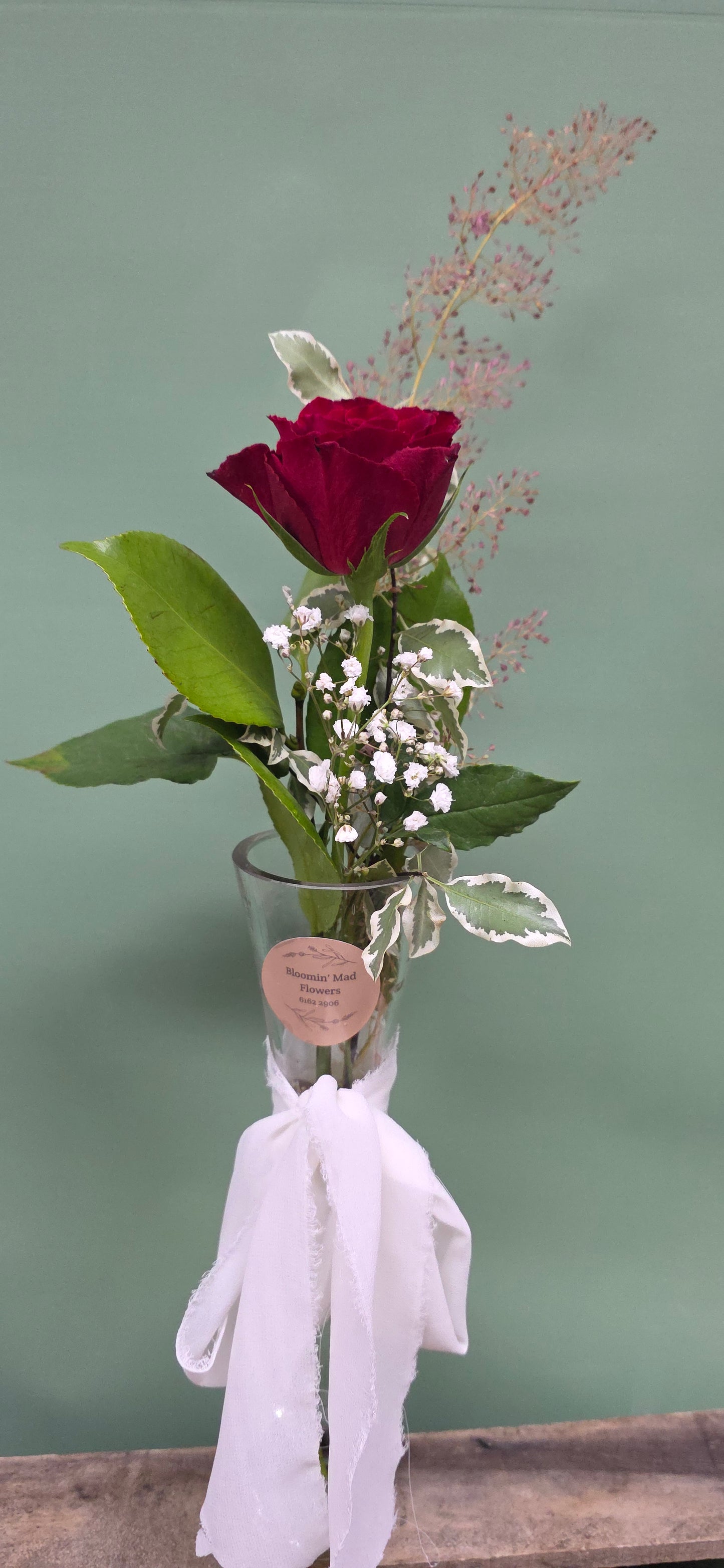 Single Stem Rose + Foliage
