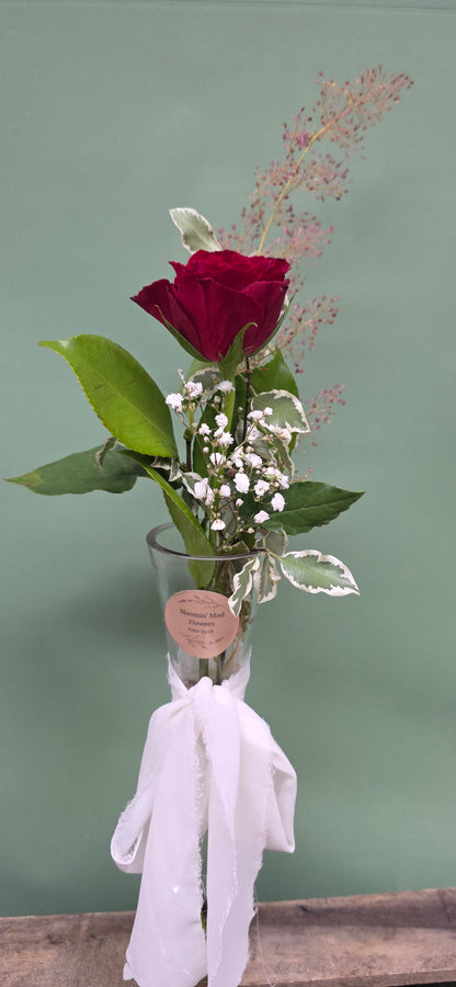 Single Stem Rose + Foliage